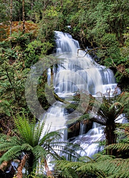 Triplet falls, Otway State Park, Australia