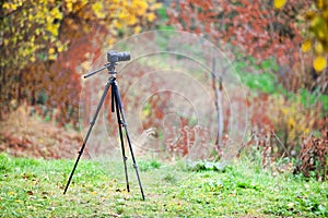 Tripod with camera lens standing on autumn lawn in forest