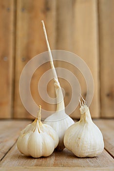 Tripple garlic