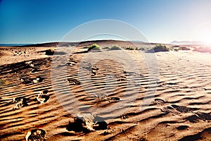 Trips and adventures. Morocco desert landscape and footprints in the sand. Scenic sunset