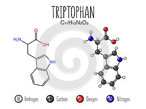 Triptophan amino acid representation.