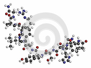 Triptorelin gonadotropin releasing hormone agonist drug molecule. Atoms are represented as spheres with conventional color coding photo