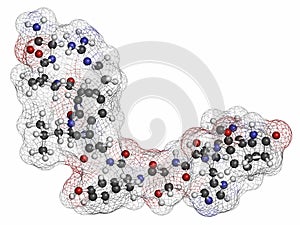 Triptorelin gonadotropin releasing hormone agonist drug molecule. Atoms are represented as spheres with conventional color coding photo