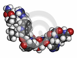 Triptorelin gonadotropin releasing hormone agonist drug molecule. Atoms are represented as spheres with conventional color coding photo