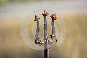 Trishul : Hindu sign