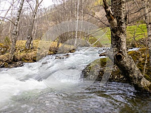 The Tristaina river near El Serrat village