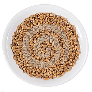 Top view of grains on ceramics bowl. photo
