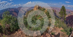 Tritle Peak on Grand Canyon North Rim