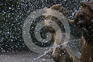 Triton Fountain Mermaids