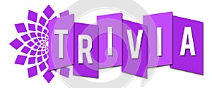 Trivia Circular Professional Purple