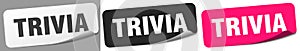 trivia sticker. trivia sticker set on white background