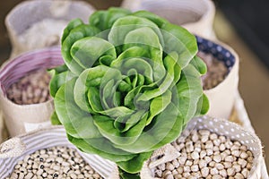 Trocadero Lettuce with vegetables photo