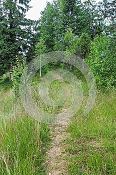 Trodden path on the slope