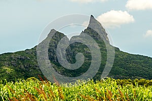 Trois Mamelles mountains in central part of Mauritius photo