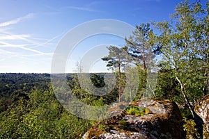 Trois pignons forest panorama