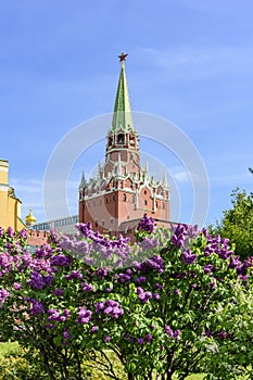 Troitskaya Trinity tower of Moscow Kremlin in spring, Russia