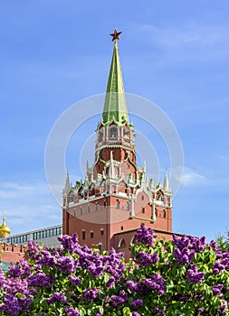 Troitskaya (Trinity) tower of Moscow Kremlin in spring, Russia