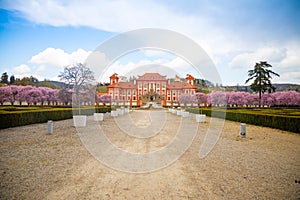 Troja Castle and blooming cherry trees in Prague, central view
