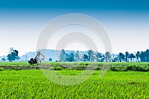 Trolley in the middle of padi field