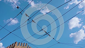 Trolleybus electric lines passed through city under blue sky