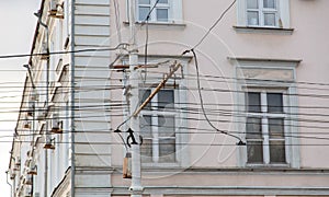 Trolleybus wires on the background of the building.