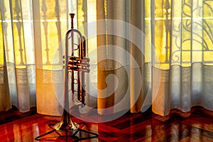 trompeta plateada photo