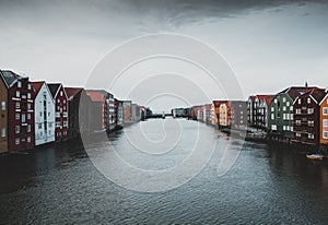 Trondheim Bird houses into the river