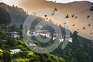 Dawn of Trongsa Dzong , birds wheeling in the air above the castle , Bhutan