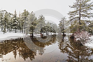 Troodos is the largest mountain range in Cyprus