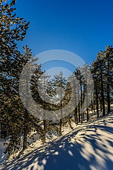 Troodos is the largest mountain range in Cyprus