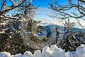 Troodos is the largest mountain range in Cyprus