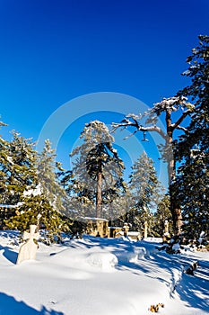 Troodos is the largest mountain range in Cyprus