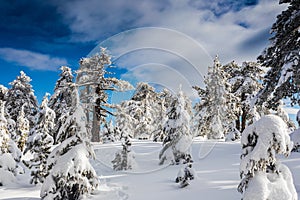 Troodos is the largest mountain range in Cyprus