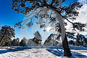 Troodos is the largest mountain range in Cyprus