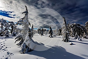 Troodos is the largest mountain range in Cyprus