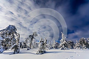 Troodos is the largest mountain range in Cyprus