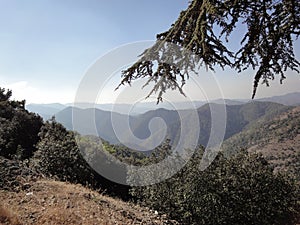 Troodos Mountain