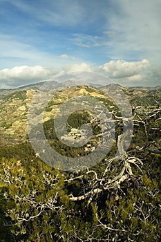 Troodos Mountain