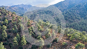 Troodos mountain range in Cyprus covered with pine forest, with Machairas peak at a distance