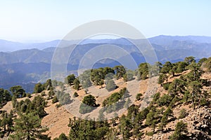 Troodos mountains in Cyprus, close to Mount Olympus, popular for area for tourists, hikes, and quads