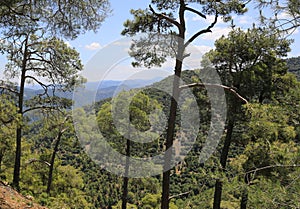 Troodos mountains landscape