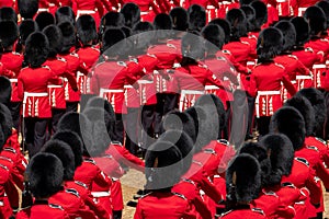 Trooping the Colour, annual military parade in London, UK. Guards wear red and black traditional uniform with bearskin hats.