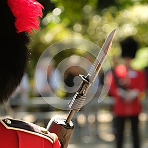 Trooping the Colour ceremony, London UK. Soldiers standing to attention
