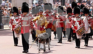 Trooping The Colour London England 2017