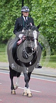 Trooping Of The Colour