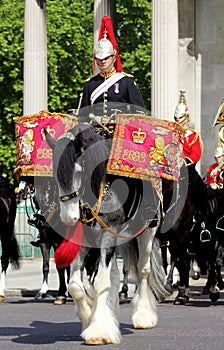 Trooping the colour watercolour
