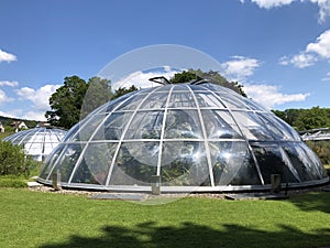 Tropenhaus - Botanical Garden of the University of Zurich or Botanischer Garten der Universitaet Zuerich photo