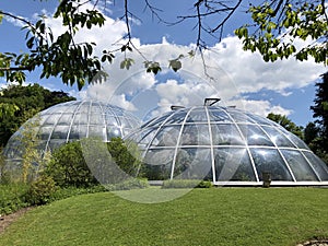 Tropenhaus - Botanical Garden of the University of Zurich or Botanischer Garten der Universitaet Zuerich photo