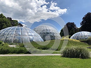 Tropenhaus - Botanical Garden of the University of Zurich or Botanischer Garten der Universitaet Zuerich