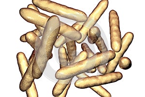 Tropheryma whipplei bacteria, the causative organism of Whipple`s disease